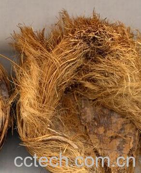 果蔬百科大腹皮-0