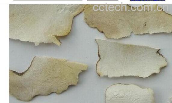 果蔬百科粉萆Z-0