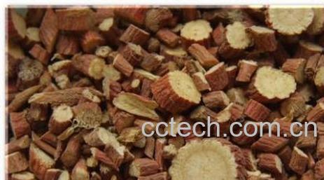 果蔬百科甘草-0