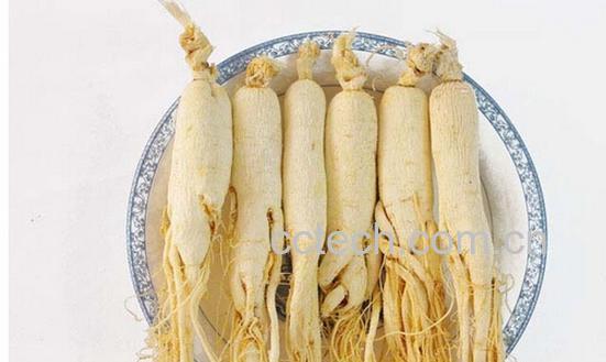 果蔬百科人参怎么吃可以壮阳-0