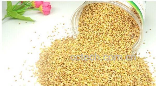 果蔬百科苦荞麦-0