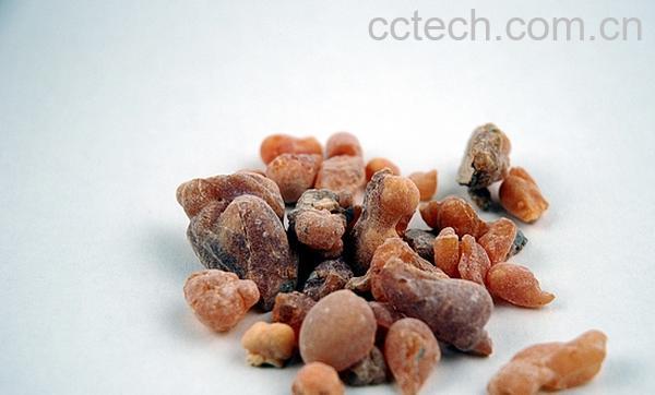 果蔬百科乳香的作用与功效-0