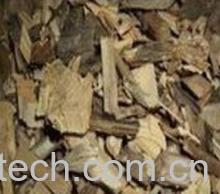 果蔬百科刺五加根的功效与作用-0