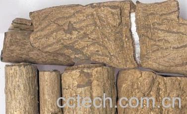 果蔬百科杜仲皮的功效与作用-0