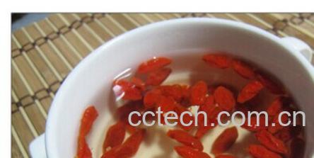 果蔬百科枸杞-0