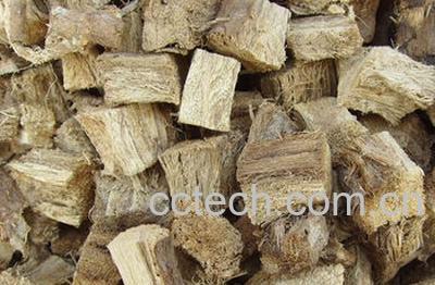 果蔬百科 柴葛根的功效与作用-0