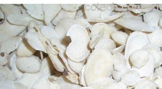 果蔬百科白术-0