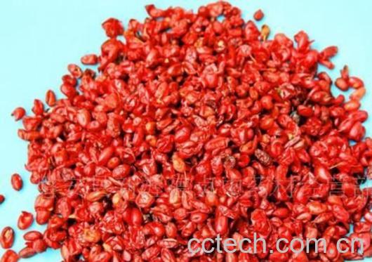 果蔬百科山萸肉-0