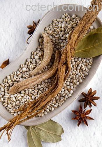 果蔬百科肉苁蓉-0