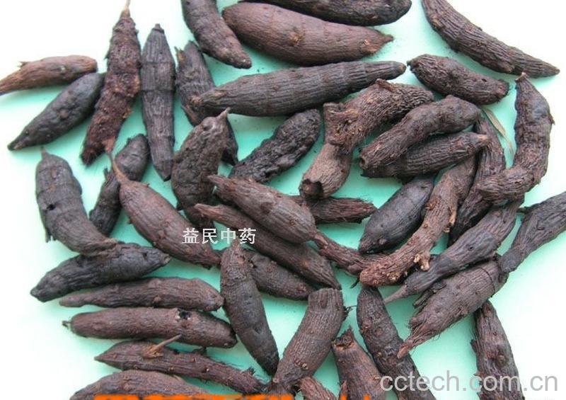 果蔬百科香附的功效与作用-0