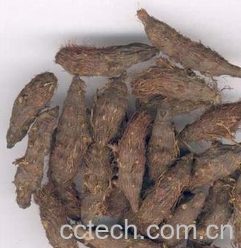 果蔬百科香附-0