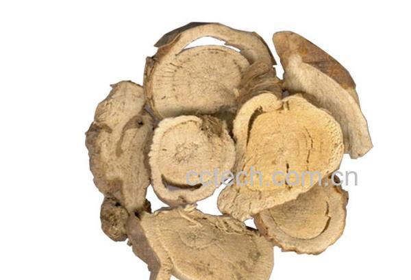 果蔬百科苦参-0