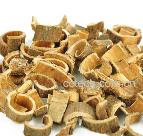 果蔬百科合欢皮的功效与作用-0