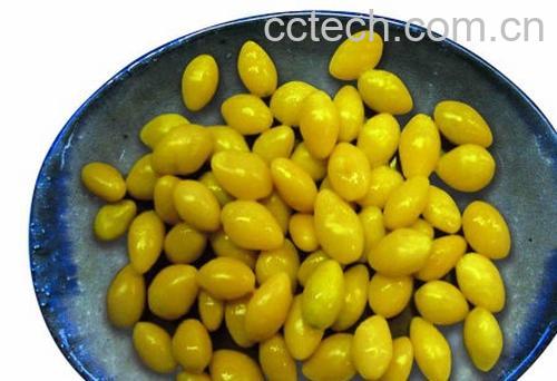 果蔬百科白果仁-0