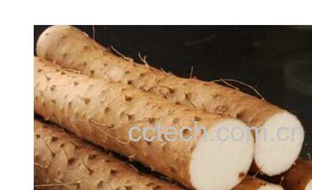 果蔬百科山药-0