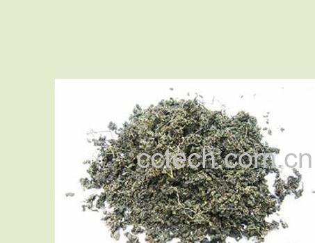 果蔬百科绞股蓝-0