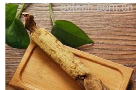 果蔬百科高丽参-0