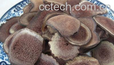 果蔬百科壮阳果-0