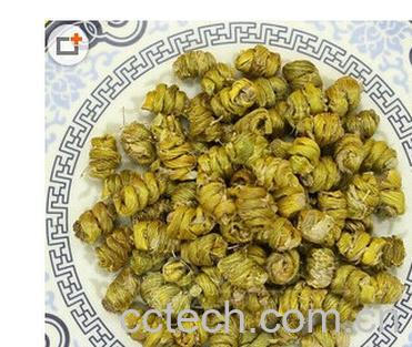 果蔬百科石斛-0