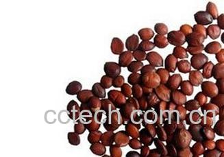 果蔬百科酸枣仁-0