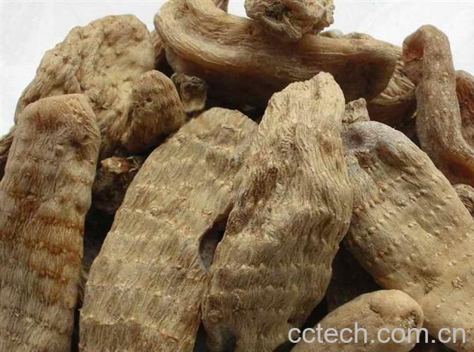 果蔬百科天麻怎么吃效果最好 天麻吃法技巧-0