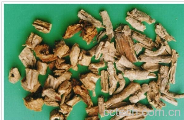 果蔬百科地骨皮的功效与作用-0