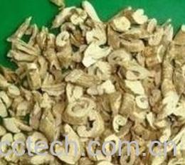 果蔬百科白鲜皮的功效与作用-0