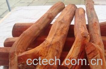 果蔬百科中药苏木-0