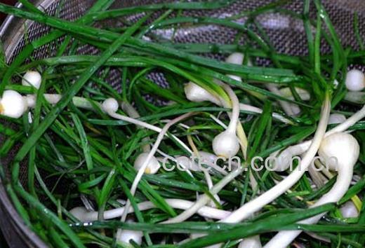 果蔬百科薤白-0