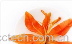 果蔬百科百合花-0