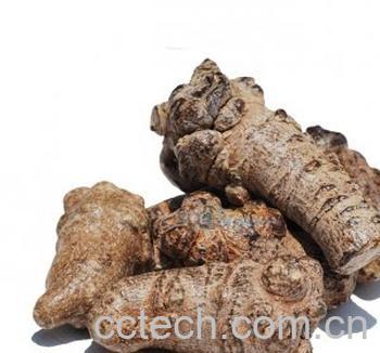 果蔬百科田七牛肉-0