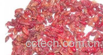 果蔬百科山萸肉-0