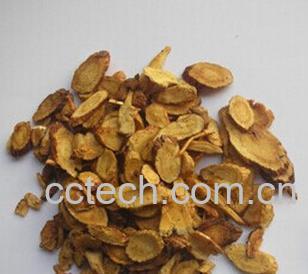 果蔬百科灸黄芪-0