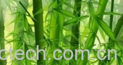 果蔬百科竹叶煮水-0