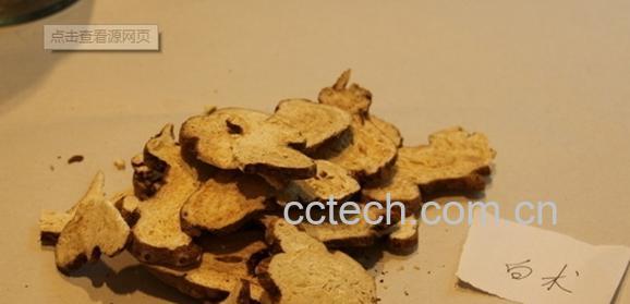果蔬百科白术-0