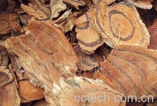 果蔬百科鸡血藤的功效与作用-0