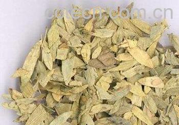 果蔬百科番泻叶的功效与作用-0