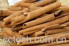 果蔬百科肉桂的功效与作用-0