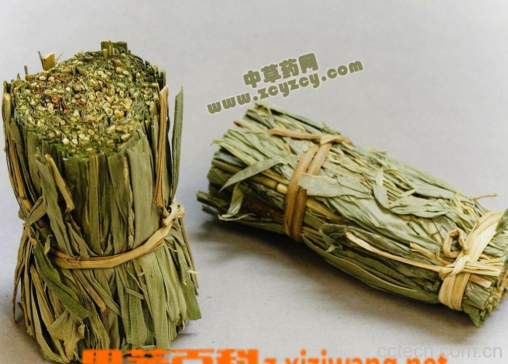 果蔬百科淡竹叶的功效与作用-0