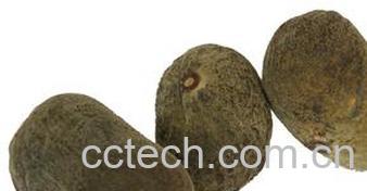 果蔬百科化橘红-0