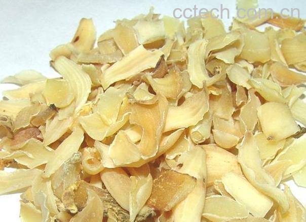 果蔬百科 百合的功效与医疗作用 -0