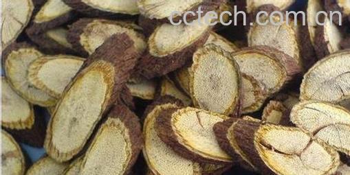 果蔬百科夜交藤-0