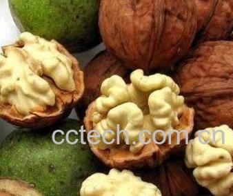 果蔬百科核桃皮的功效与作用 -0