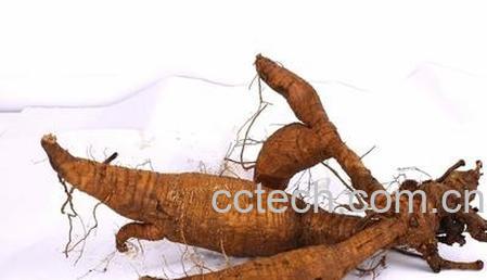 果蔬百科葛根-0