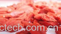 果蔬百科枸杞-0