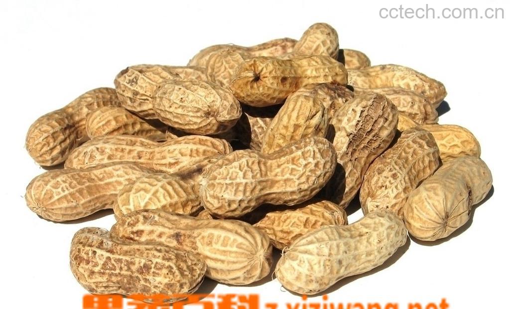 果蔬百科吃生花生有什么好处-0
