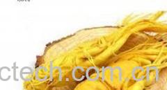 果蔬百科人参-0