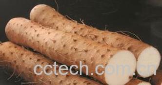 果蔬百科山药-0