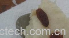 果蔬百科茯苓粉-0