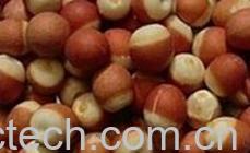 果蔬百科芡实-0